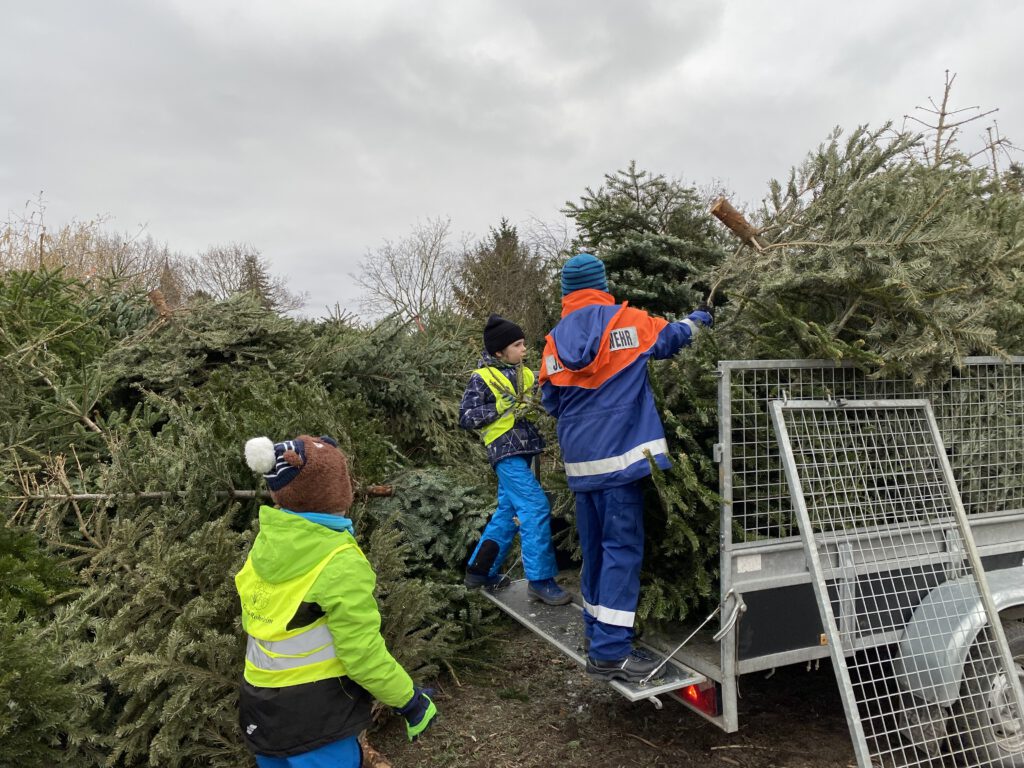 Mehr über den Artikel erfahren Christbaumsammlung