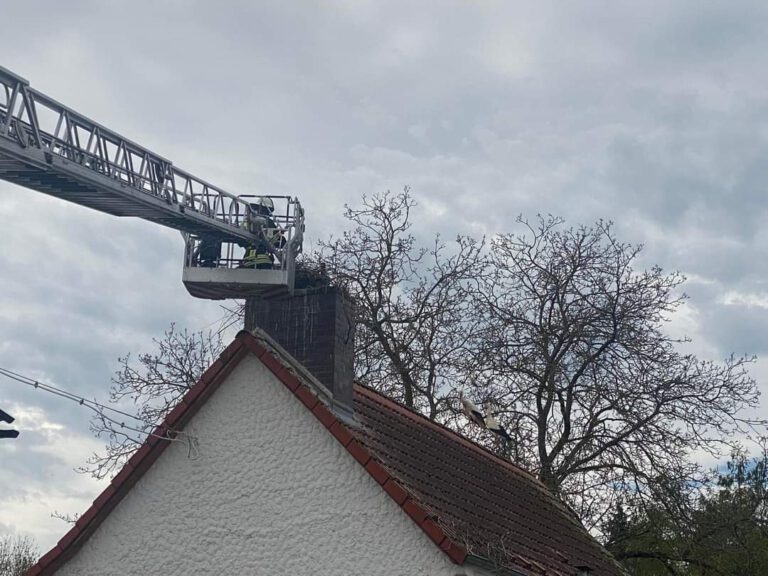 Mehr über den Artikel erfahren Einsatz Nr. 07/24 – Hilfeleistung, Strochennest