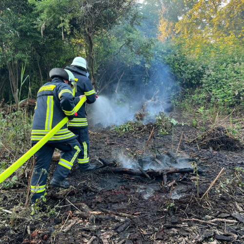 Einsatz Nr. 19/24 – unklare Rauchentwicklung