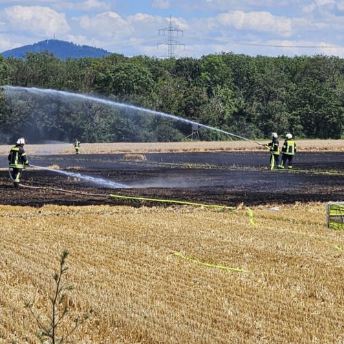 Einsatz Nr. 22/24 – Brennt Waldfläche