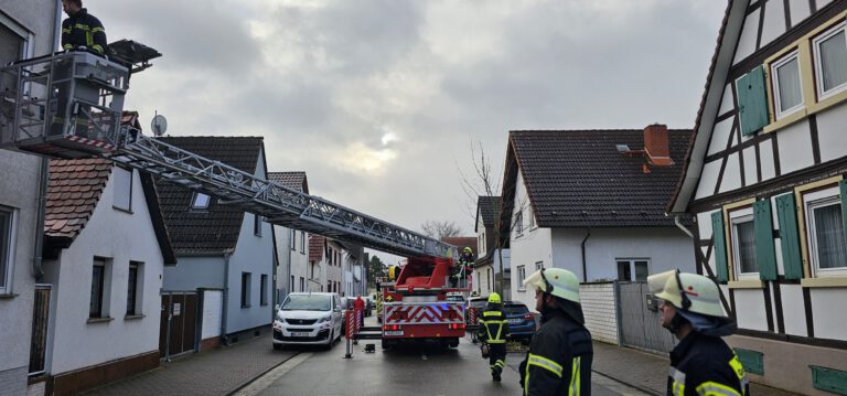 Mehr über den Artikel erfahren 05/25 – Tragehilfe