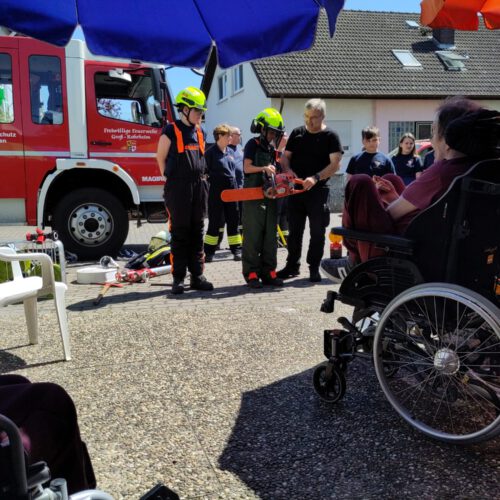 "Einsatz" der Kettensäge