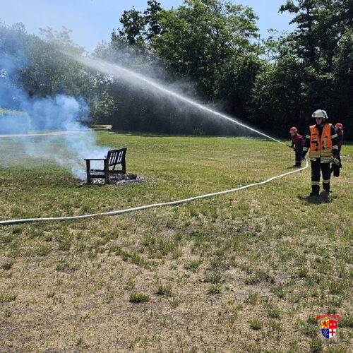 20250531_F1Parkbank (8)