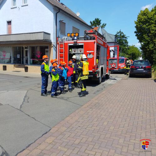 20250531_FehlBhf (8)