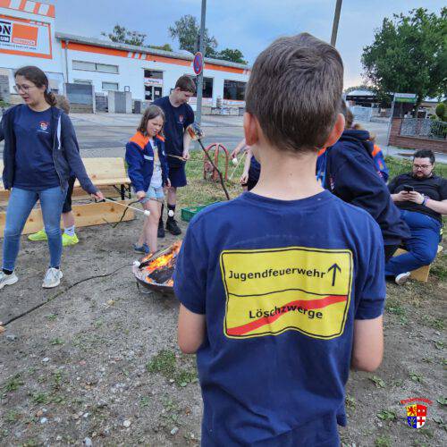20250531_Lagerfeuer (4)
