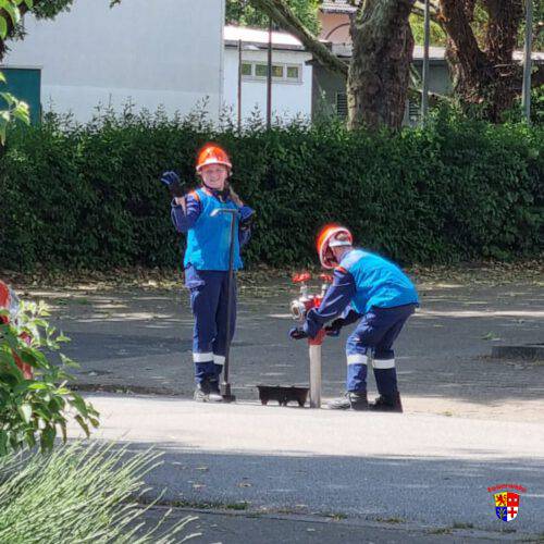 20250602-F2Gartenhaus (102)