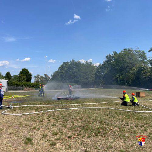 20250602-F2Gartenhaus (42)