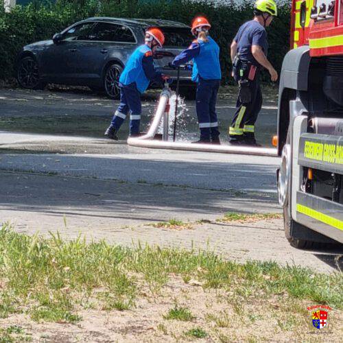 20250602-F2Gartenhaus (88)