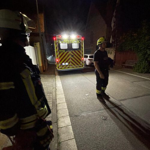 16/25 – Tragehilfe