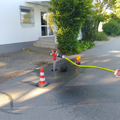 20250624-JF-evKiTa (11)