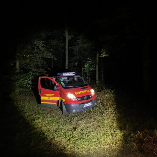 22/25 – Fliegerbombe im Wald