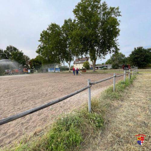 20250826-Reitplatz (2)