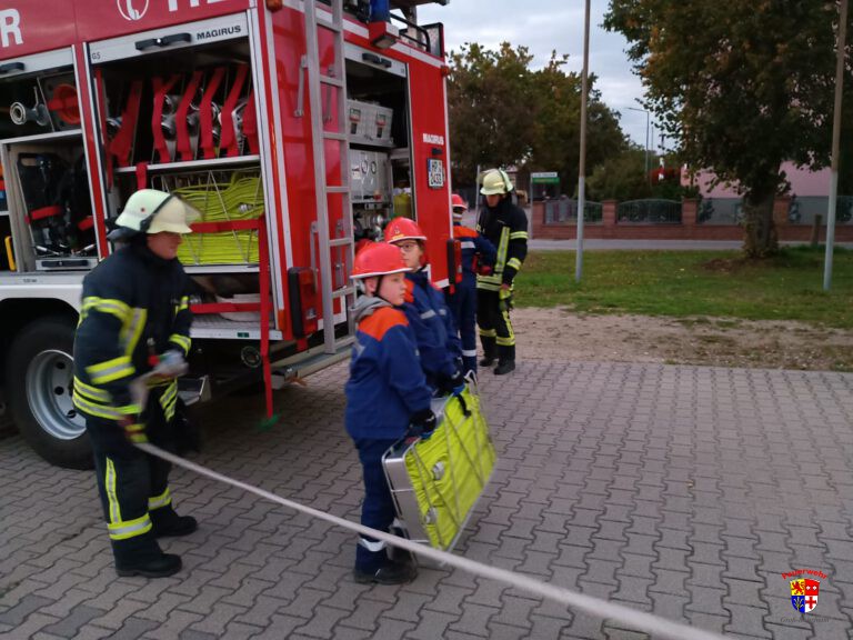 20251014-Vorber-GrUbung (16)