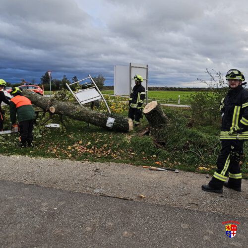 20251023-Baum-Spargelhauschen (11)