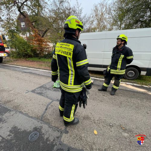 20251110-Ölspur (2)