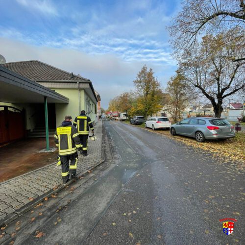 20251110-Ölspur (5)