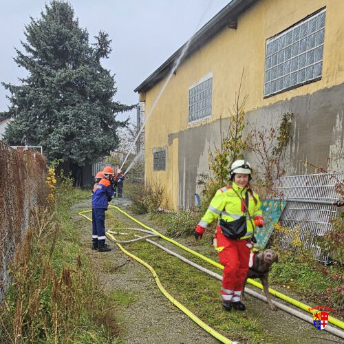 20251115_JF-Ubung (7)