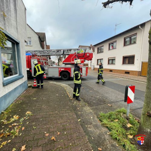 20251124-H1Y-Unt_RD (4)