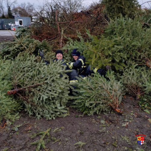 20260110_WeihnBaumaktion (15)