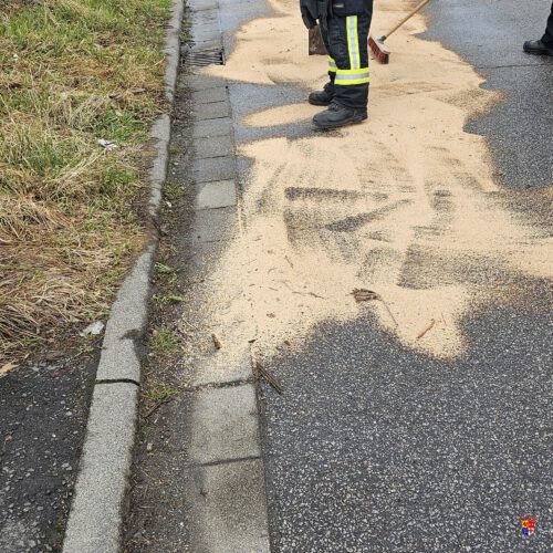 20260217_ÖlFleck (2)