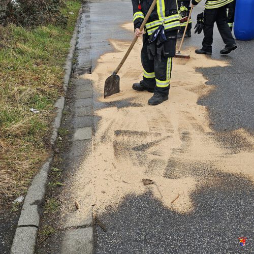 20260217_ÖlFleck (3)