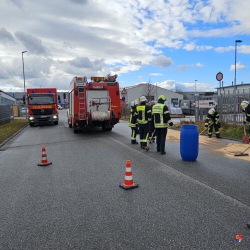 20260217_ÖlFleck (6)