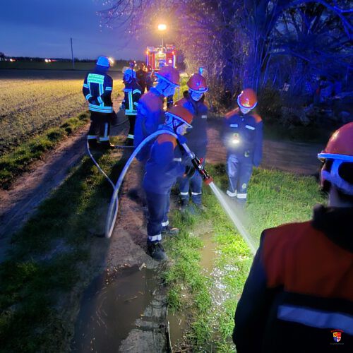 20260310_FläBra-JF (1)