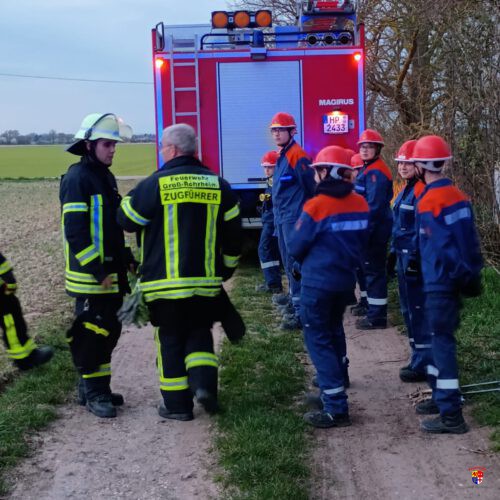 20260310_FläBra-JF (4)