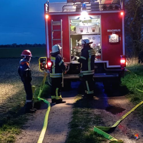 20260310_FläBra-JF (5)