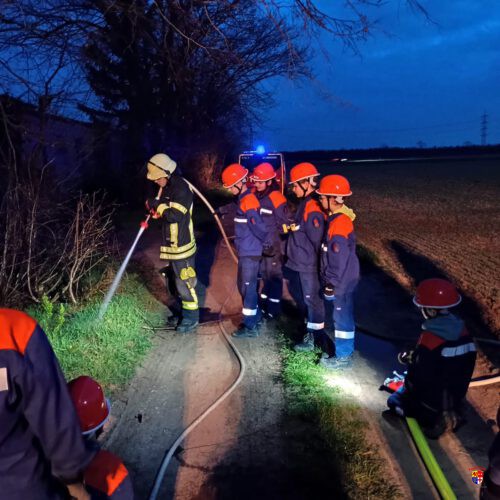 20260310_FläBra-JF (7)