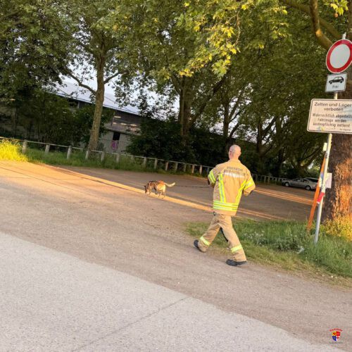 20260507-RHS-Übung (1)