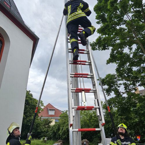 20260519_JF-HimmlAuftrag (5)