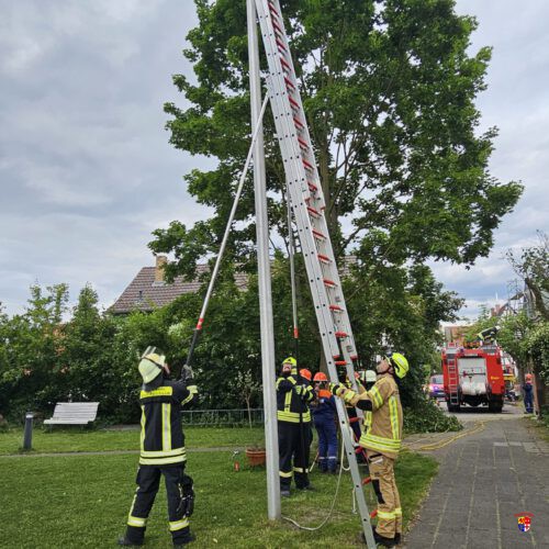 20260519_JF-HimmlAuftrag (6)