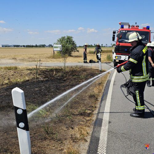20260704_Flächenbrand (4)
