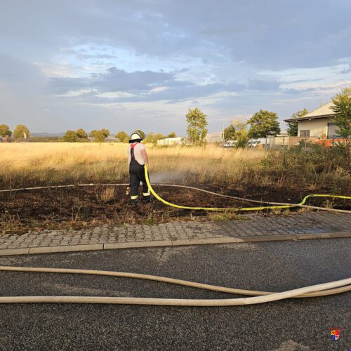 20260714-Flächenbrand (2)