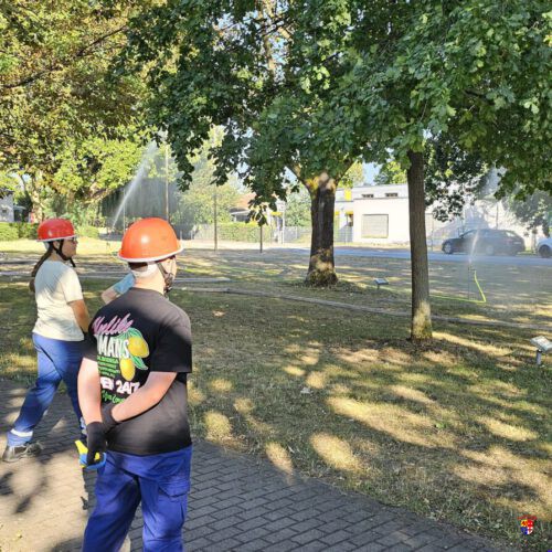 20260728_JF-Kreisregner (2)