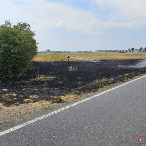 20260730-Flächenbrand (0)