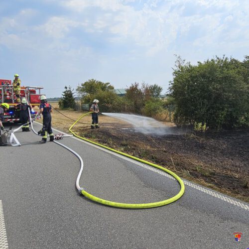 20260730-Flächenbrand (3)