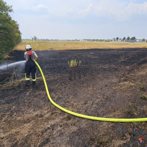 20260730-Flächenbrand (5)