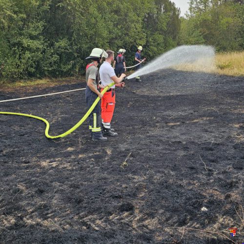 20260730-Flächenbrand (6)