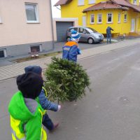 Weihnachtsbaum ...