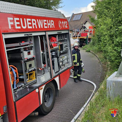 20250517_brenntGrasflache (1)