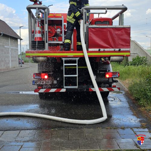 20250517_brenntGrasflache (5)