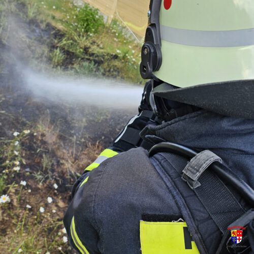 20250517_brenntGrasflache (7)