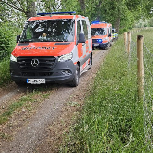20250523_HiLoPeRhein (3)