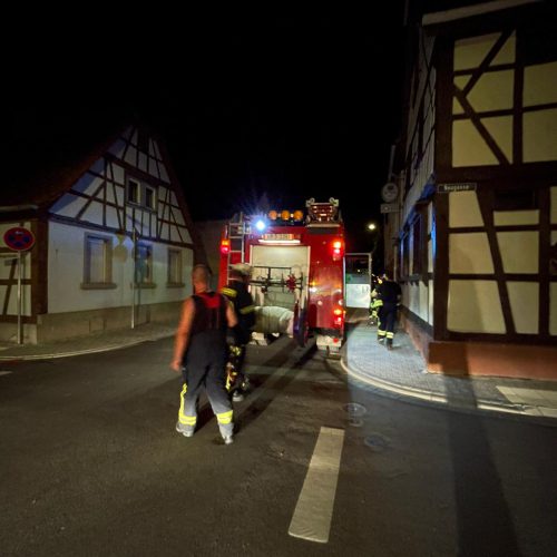 20250618-Tragehilfe (1)