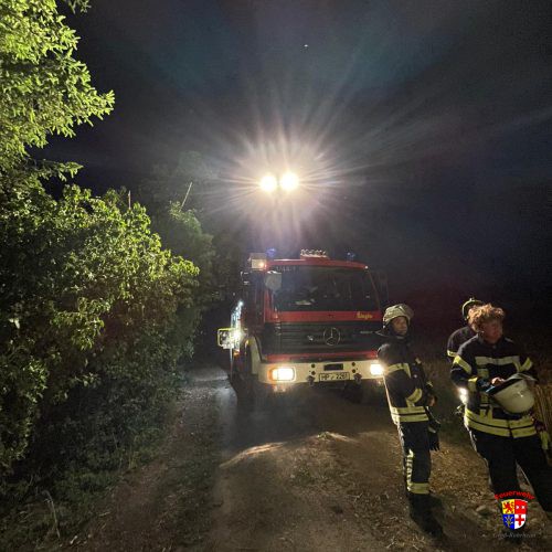 20250623-Storchenrettung (2)