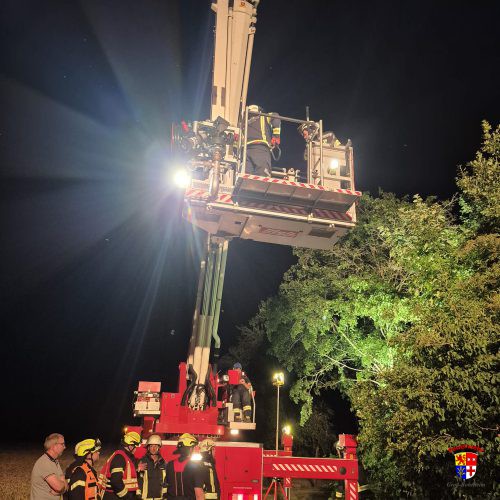 20250623-Storchenrettung (3)