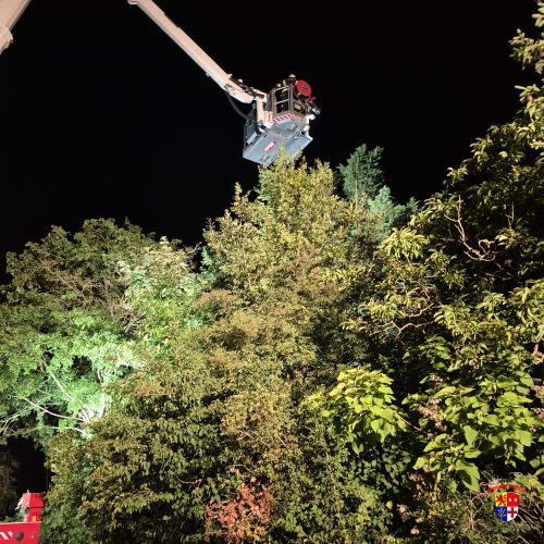 20250623-Storchenrettung (4)