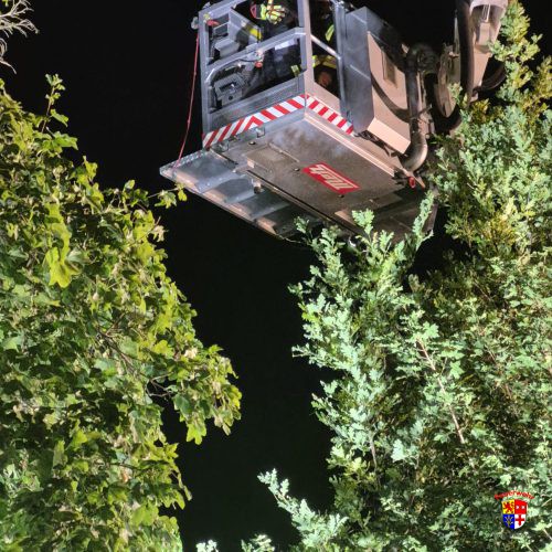 20250623-Storchenrettung (5)